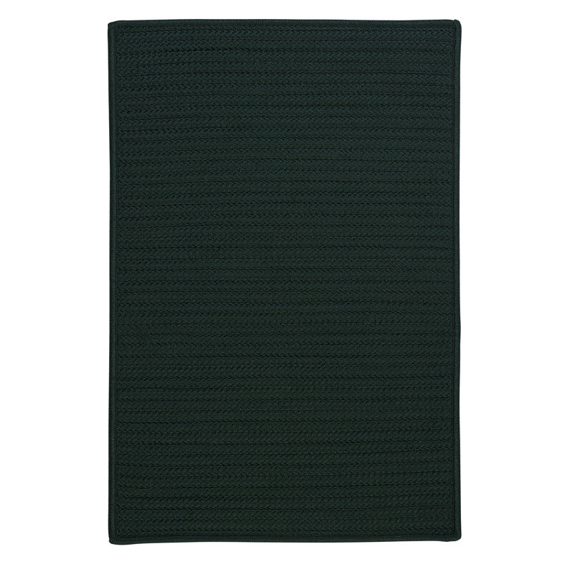 Charlton Home Gilmour Dark Green Solid Indoor/Outdoor Area Rug